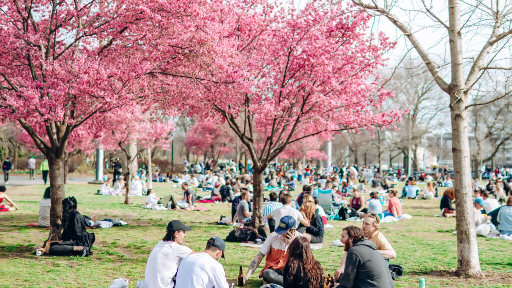 McCarren Park, one of the best picnic spots in NYC