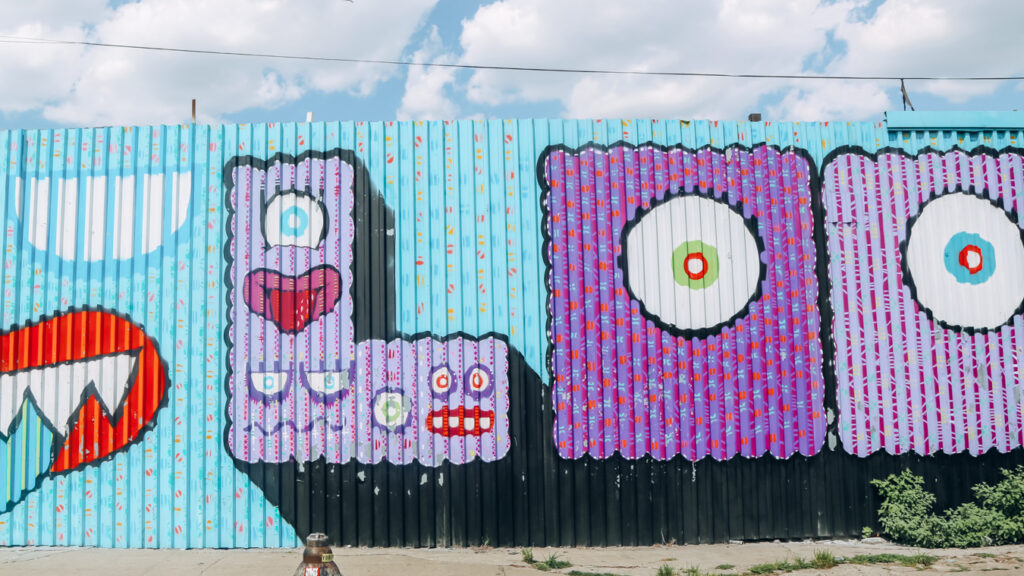 Street art which you'll see during a street art walking tour, which is one of the best things to do alone in New York City